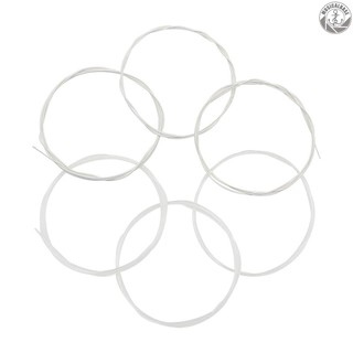 Set 6 Dây Đàn Guitar Mạ Bạc Và Đồng (. 028-.043)