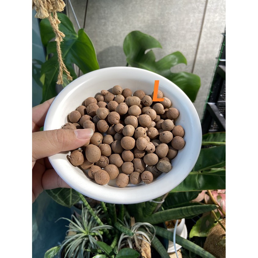 Sỏi nung, sỏi nhẹ, LECA , đất nung Thái  túi lẻ 2L ~ 700gr ! Lót đáy chậu , rải mặt , thủy canh đa dụng !
