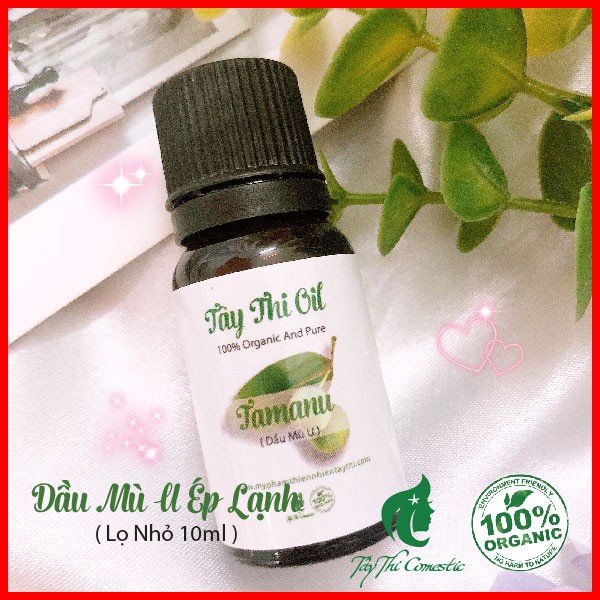 Dầu Mù U Ép Lạnh Nguyên Chất Tây Thi Lọ 10ml