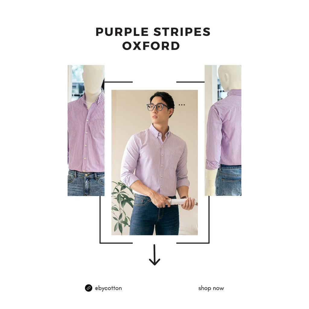 Áo Sơ Mi Nam Cao Cấp Purple Stripes Oxford BY COTTON