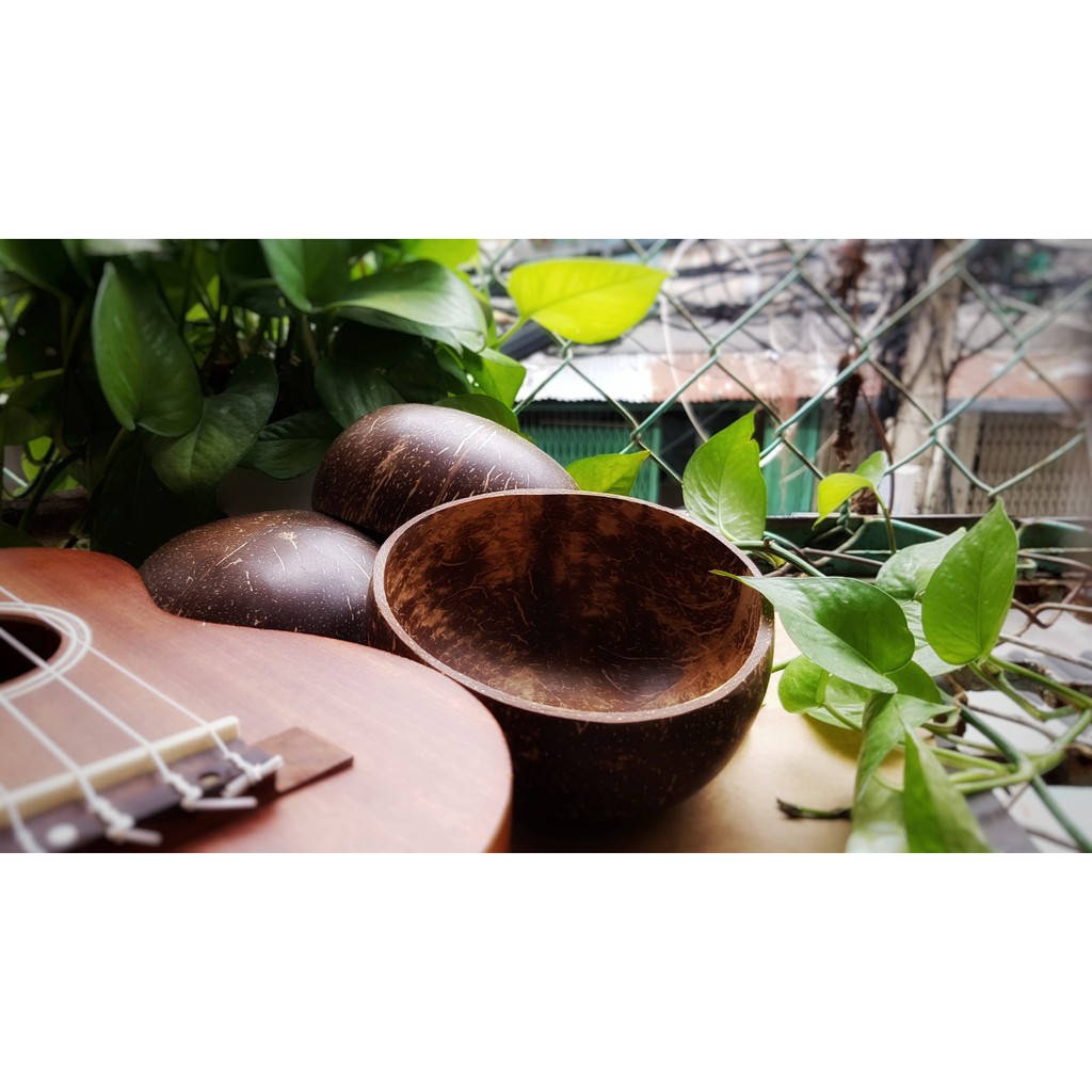 Chén Gáo Dừa (Mài Bóng)