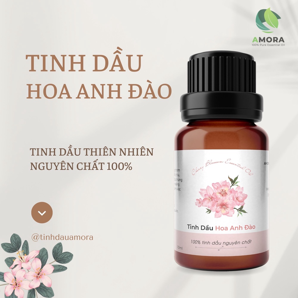 Tinh Dầu Hoa Anh Đào Xông Phòng Thiên Nhiên Nguyên Chất - Tinh Dầu Thơm Thiên Nhiên AMORA