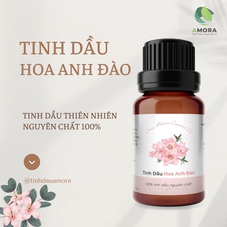 Tinh dầu hoa anh đào xông phòng thiên nhiên nguyên chất - tinh dầu thơm thiên nhiên amora
