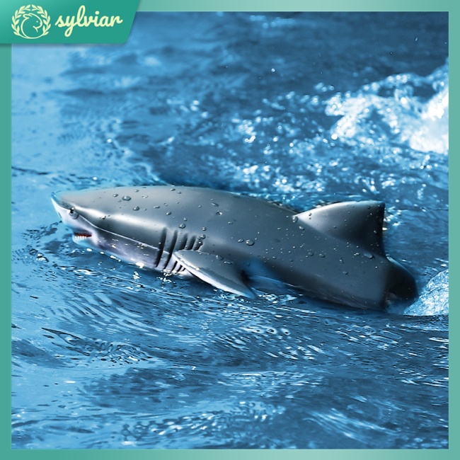 Thuyền Điều Khiển Từ Xa 2 Trong 1 Tốc Độ Cao 2.4g