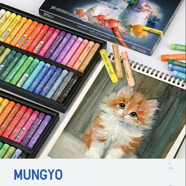 Mungyo 12/24 Colors Fluorescent Soft Oil Pastel Dry Metallic