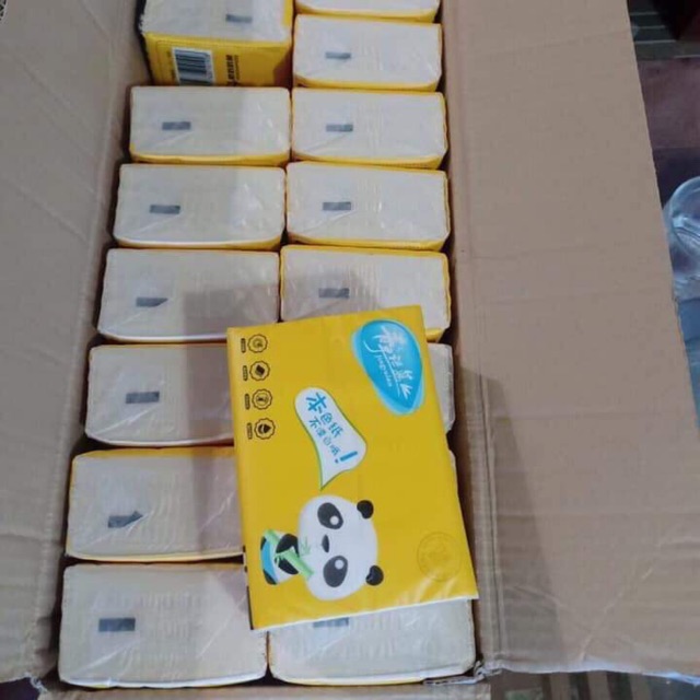 Giấy gấu 40
