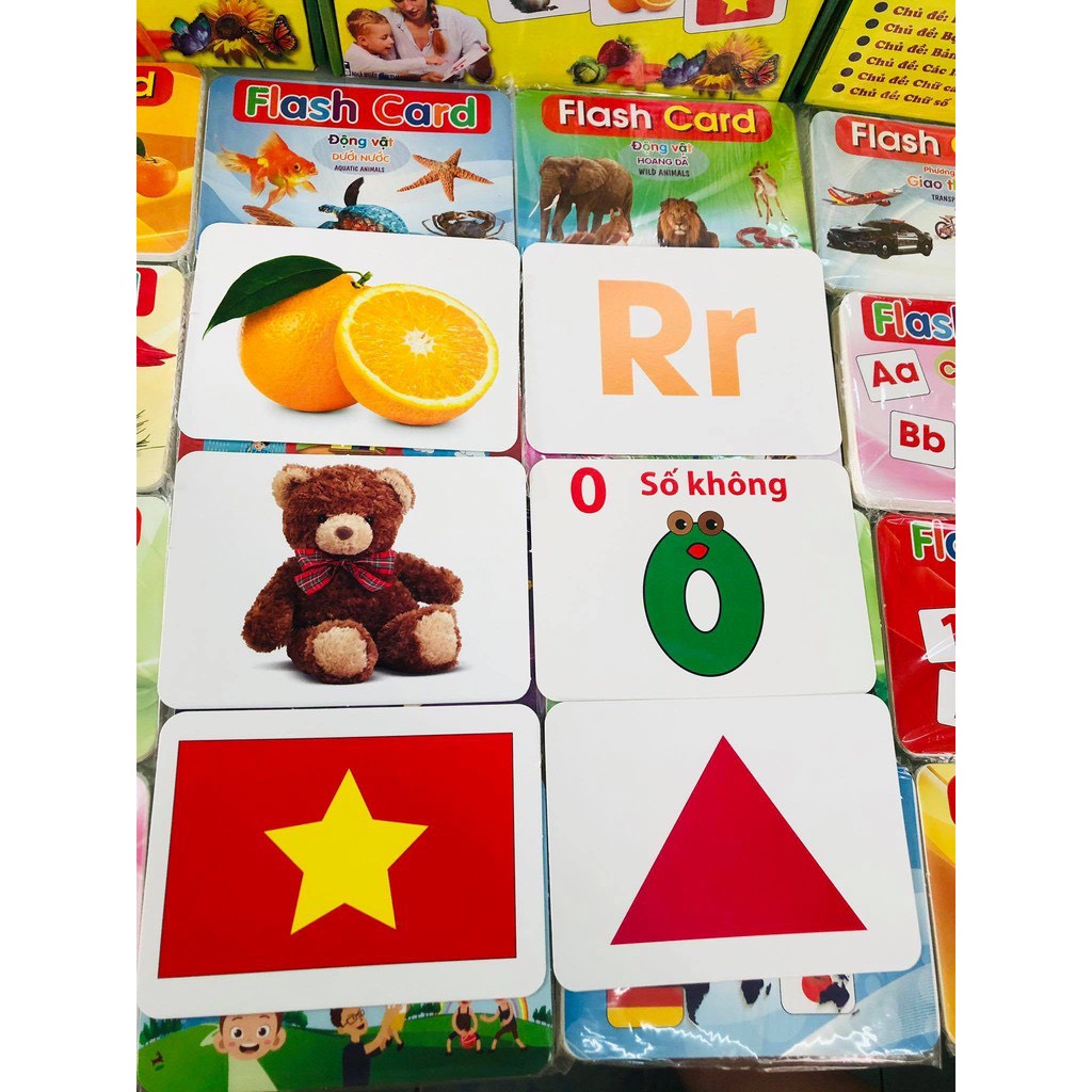 Thẻ học thông minh kích thước lớn 12x16cm tùy chọn - thẻ học in hai mặt Ivory Flashcard TGXQ Glenn doman chuẩn