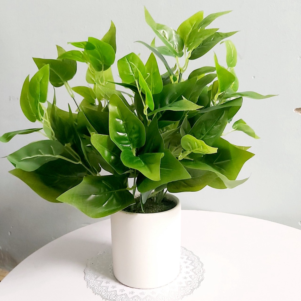 Cây giả, chậu cây kim tiền 20cm lá nhỏ xanh tự nhiên trang trí bàn học, kệ tủ, giá sách, decor nội thất Flowermini