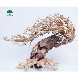 Lũa Bonsai, Lũa thủy sinh dùng trang trí hồ cá cảnh, hồ thủy sinh, văn phòng, nhà cửa- NHÀ XANH