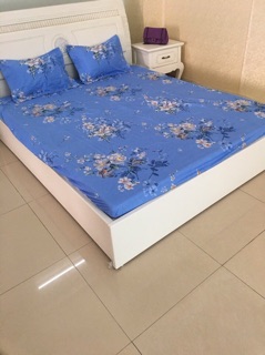 Sét ga gối M8
