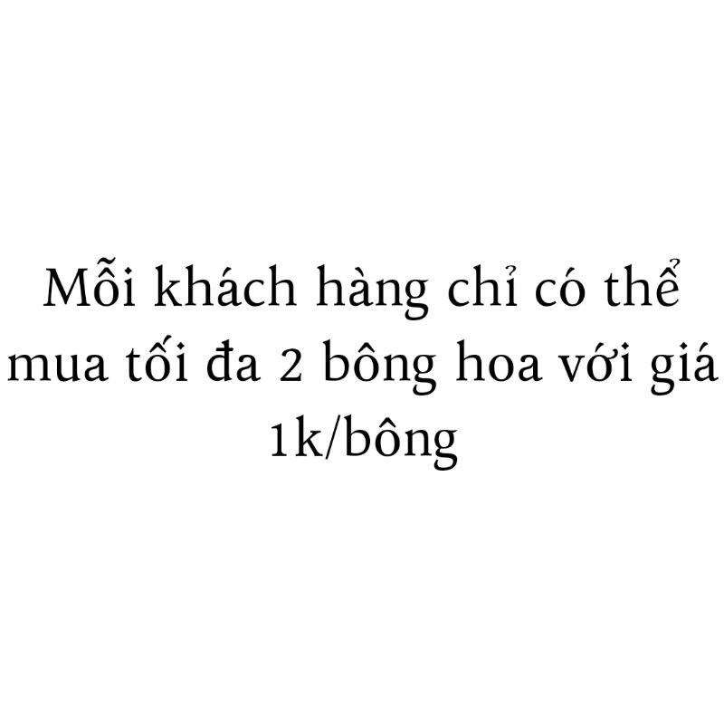 Ghim pin cài áo hình bông hoa len 5 cánh handmade , trang trí