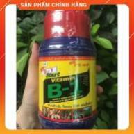 Vitamin B1 Thái lan Chai 500ml.