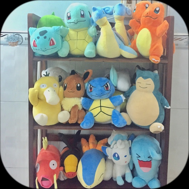 Gấu bông poke sưu tầm size 25 đến 30cm