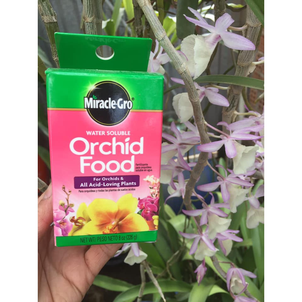 Miracle-Gro Water Soluble Orchid Food, 8 oz (226g)