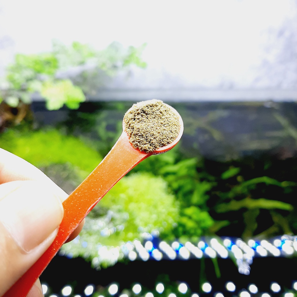 Thức Ăn Tép Con WASABI Baby Shrimp || Tép Con Khoẻ Mạnh - Nhanh Lớn - Hạn Chế Hao Hụt