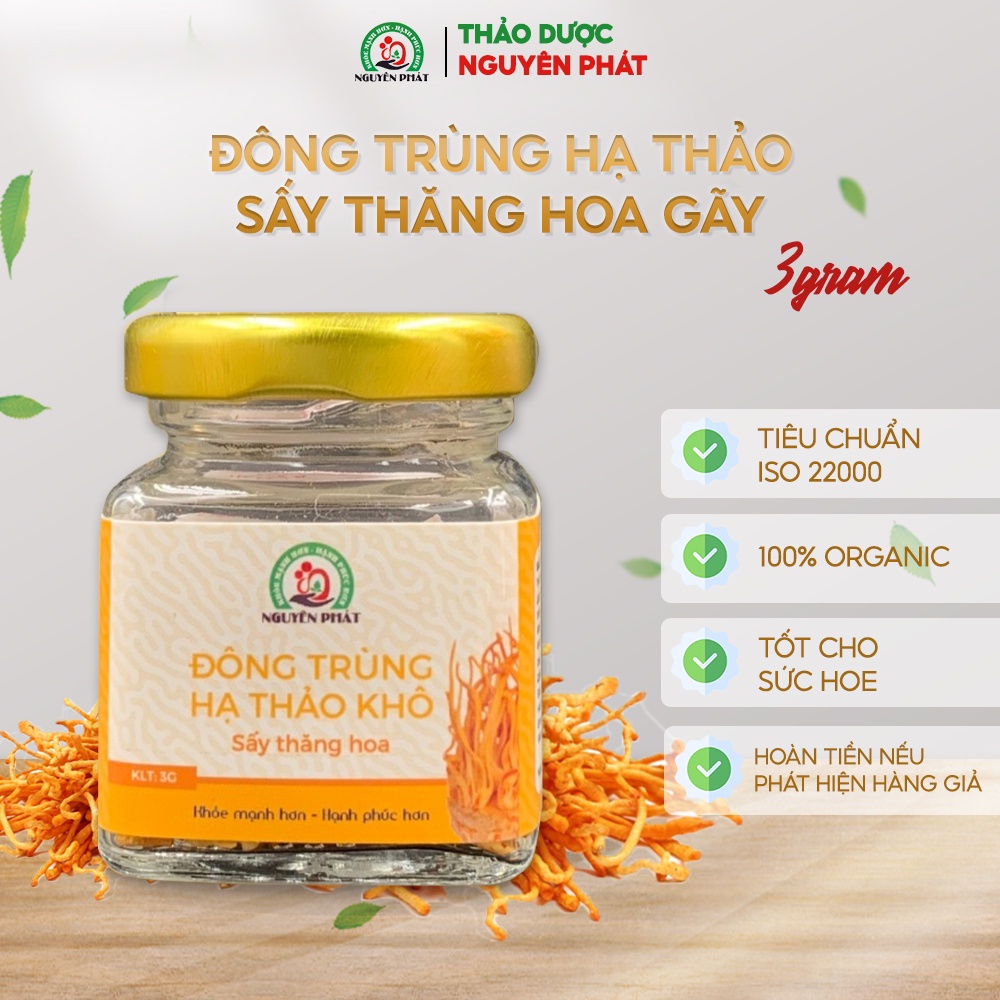 Đông trùng hạ thảo sấy thăng hoa Nguyên Phát hộp 3 gram cao cấp bồi bổ cơ thể tăng sức đề kháng nấu canh pha trà