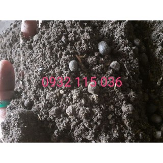 Đất Cải Tạo Cho Nền Đất Xốp Đen Nhẹ 2kg
