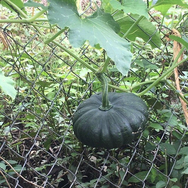 Cửa hàng trực tuyến Shopee Việt Nam