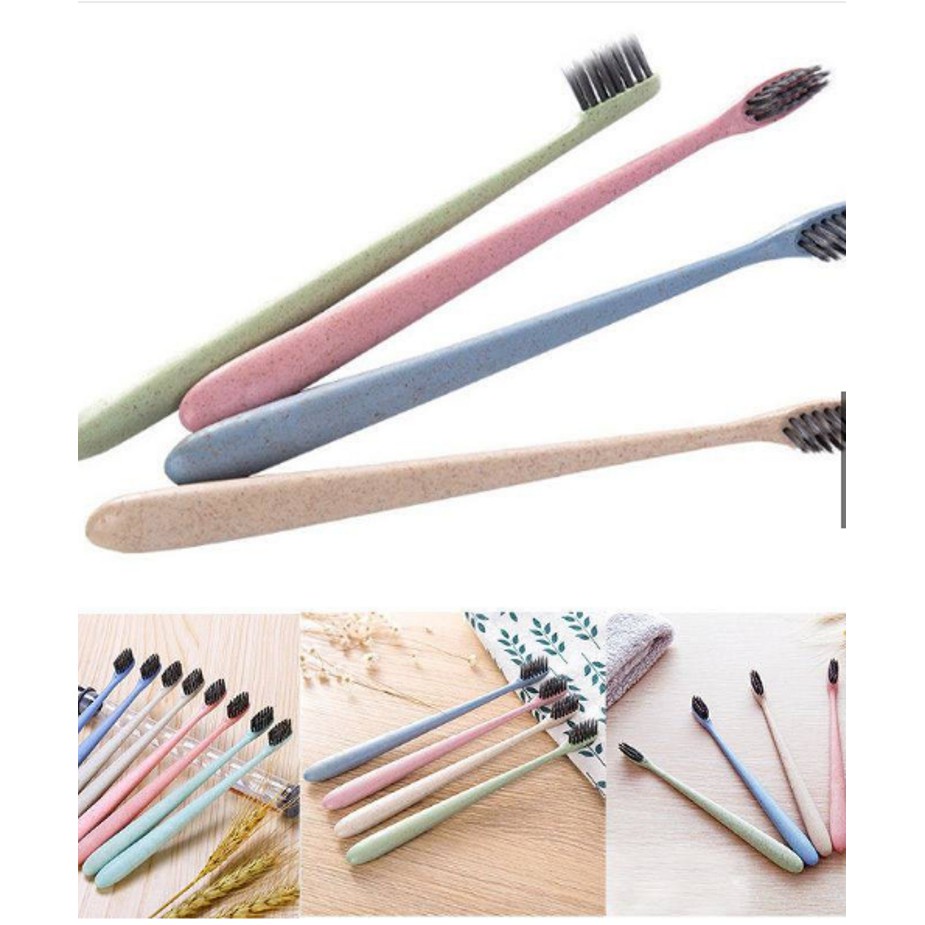 Bàn chải lúa mạch