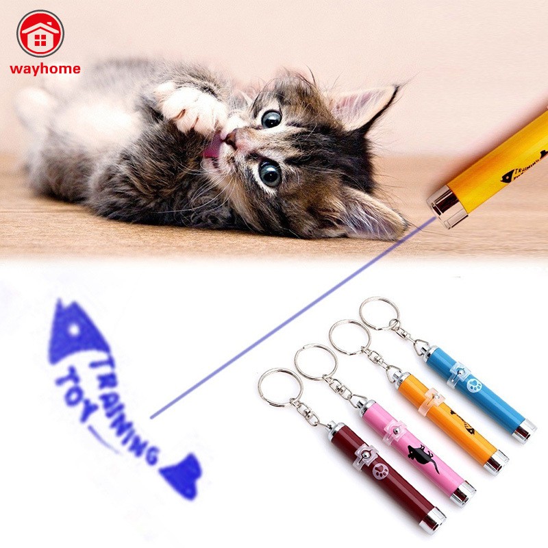 Bút laser đồ chơi sáng tạo cho thú cưng