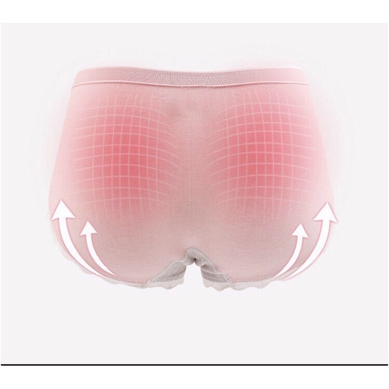 Hộp 5 Quần Lót Cotton Thiên Nga Dễ Thương Co Giãn 4 Chiều Cao Cấp
