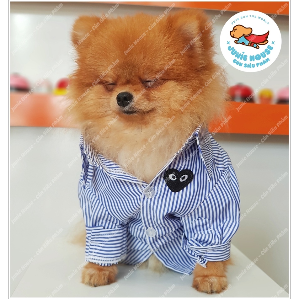 Áo sơ mi sọc thêu trái tim sang trọng cho chó mèo