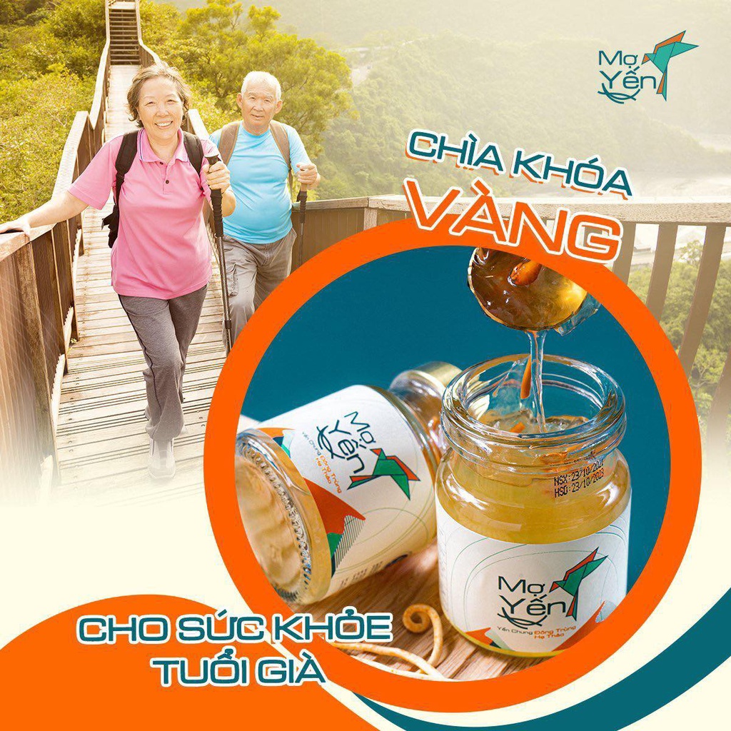 Yến Sào - Mợ yến- Yến Đông Trùng Hạ Thảo combo 10 hũ