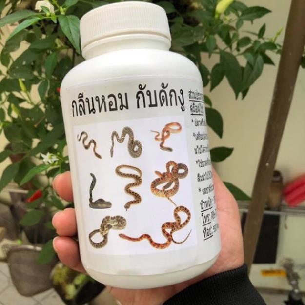Thuốc dụ rắn mồi siêu nhậy y hình giá rẻ