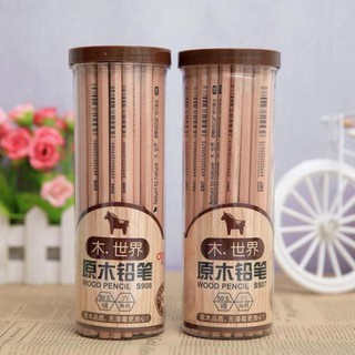 CÂY BÚT CHÌ