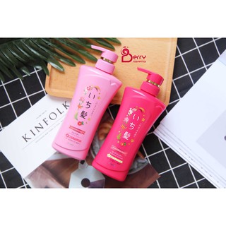 Cặp dầu gội và dầu xả Ichikami