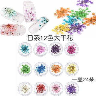 Set hoa khô nail trang trí móng 12 màu