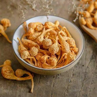 NỤ BÔNG ĐÔNG TRÙNG HẠ THẢO