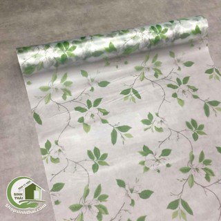 Giấy dán kính dây leo xanh - khổ 90cm - có sẵn keo
