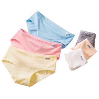 Quần Lót Cotton Pulo Xuất Mỹ