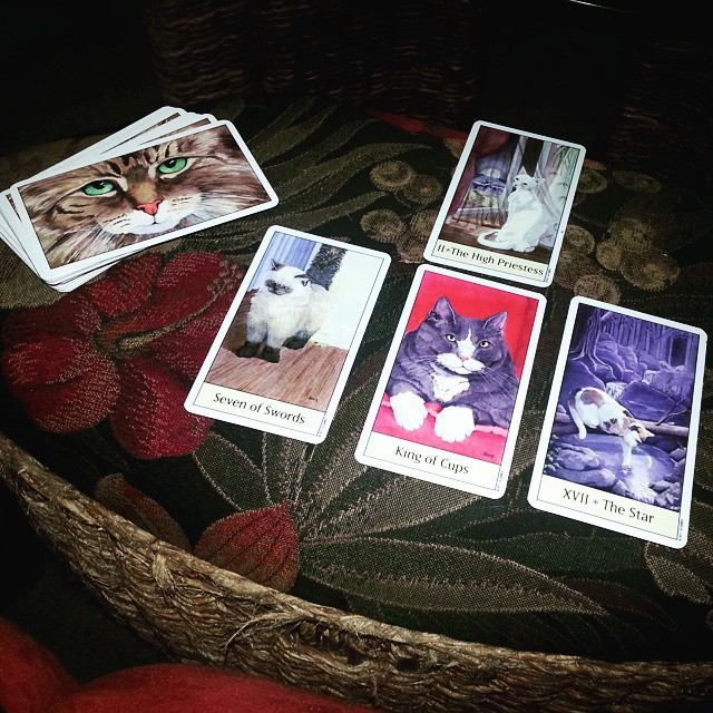 Bài Cat’s Eye Tarot