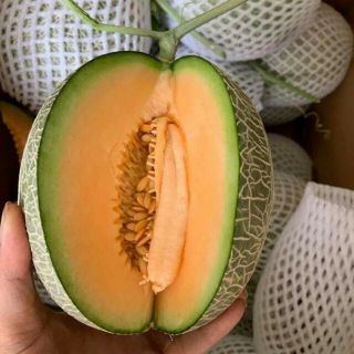 Hạt giống dưa lưới - Rau củ quả trồng tại vườn, sân thượng, nông trang, ban công