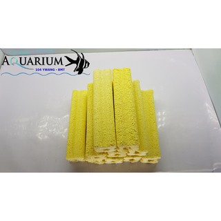 10 cây sứ lớn lọc nước hồ cá