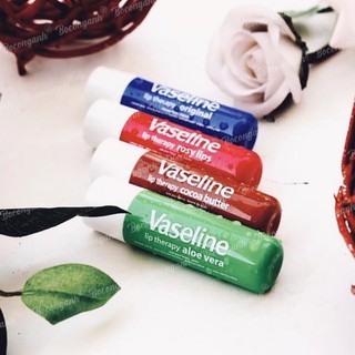 Son dưỡng vaseline