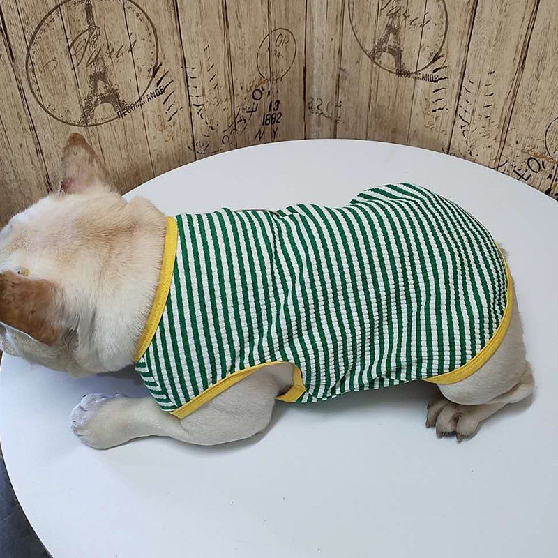 Chiến đấu đặc biệt áo vest cho chó béo pug mùa xuân và hè cotton mỏng co giãn chống bay màu quần thú cưng sọc dễ thương
