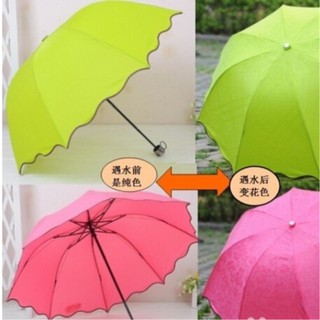 Ô nở hoa khi gặp nước