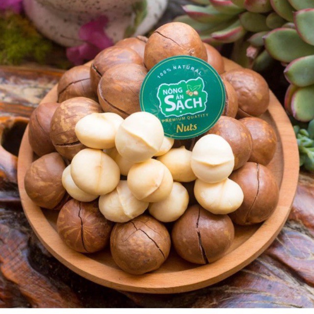 500g Hạt Macca Organic Sạch Di Linh Lâm Đồng nhà trồng size A (hạt mắc ca)