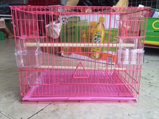 Lồng nuôi chim nhỏ kích thước 45 x 37 x 43 cm