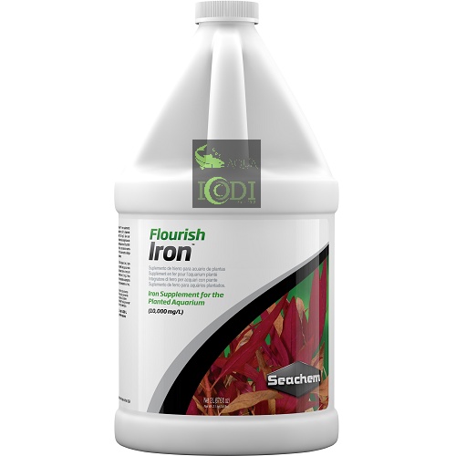 Phân nước Seachem Flourish Iron 100ml 250ml 500ml