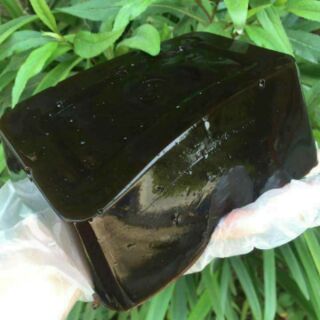 Thạch đen cao bằng( nửa kg cây khô)