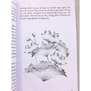 Người Yêu Chim Hải Âu