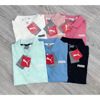 Mh áo polo kèm tuia giấy puna 6m cho nữ