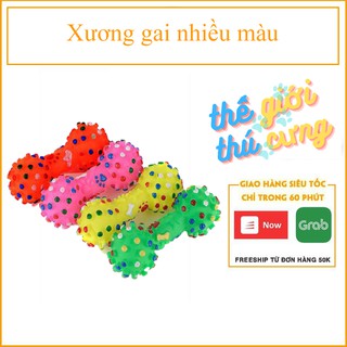 Xương gai nhiều màu – đồ chơi chó