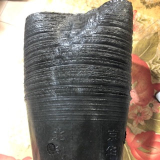 SET 10kg TÚI BẦU ƯƠM CÂY GIỐNG (18x16cm)