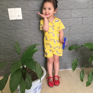 Bộ pizama thô lụa