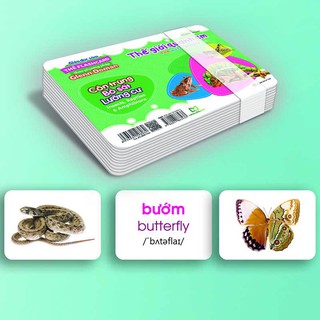 Thẻ Flashcard: Thế Giới Quanh Em - Côn Trùng, Bò Sát, Lưỡng Cư